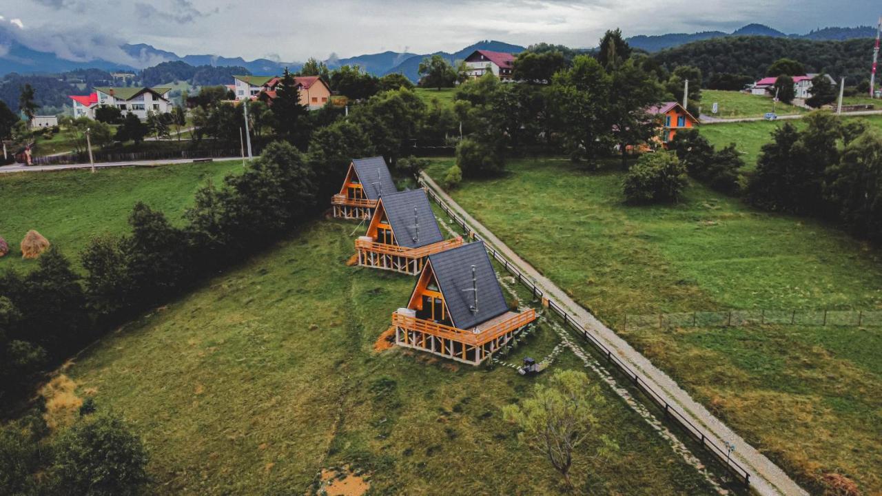 Cabana 365 Brasov Exterior photo