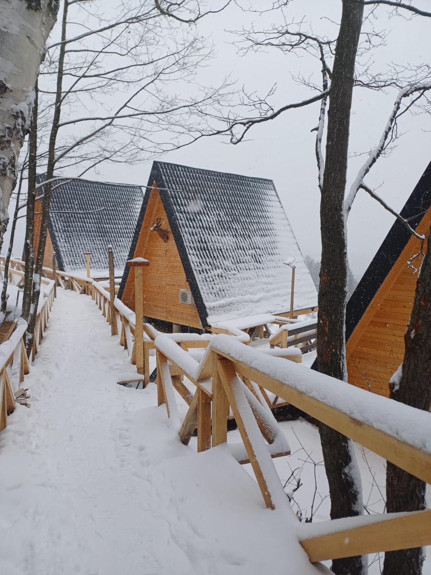 Cabana 365 Brasov Exterior photo