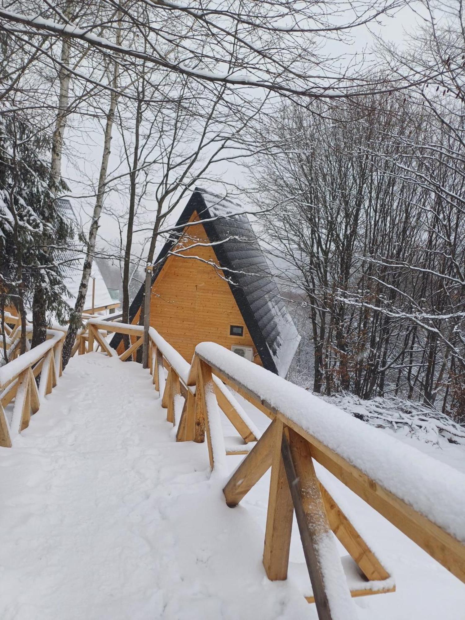 Cabana 365 Brasov Exterior photo